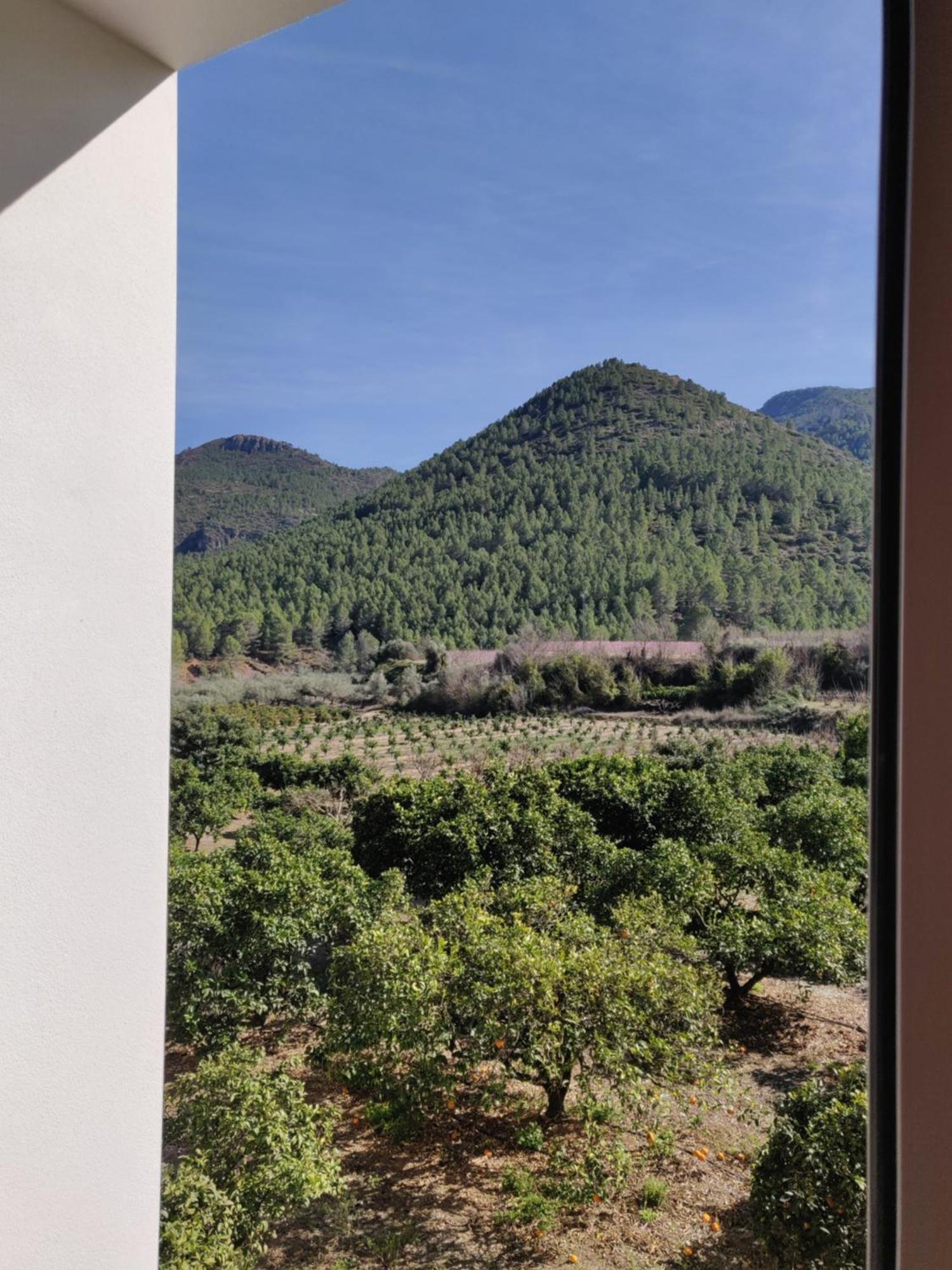 L'Almassera - Chimenea Y Montana Para Grupos En Aielo De Rugat Ayelo de Rugat Bagian luar foto